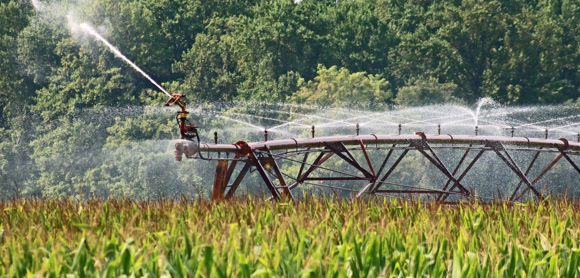 Pioneer method to classify irrigation types using remote sensing data can improve water management